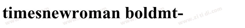 timesnewroman boldmt字体转换